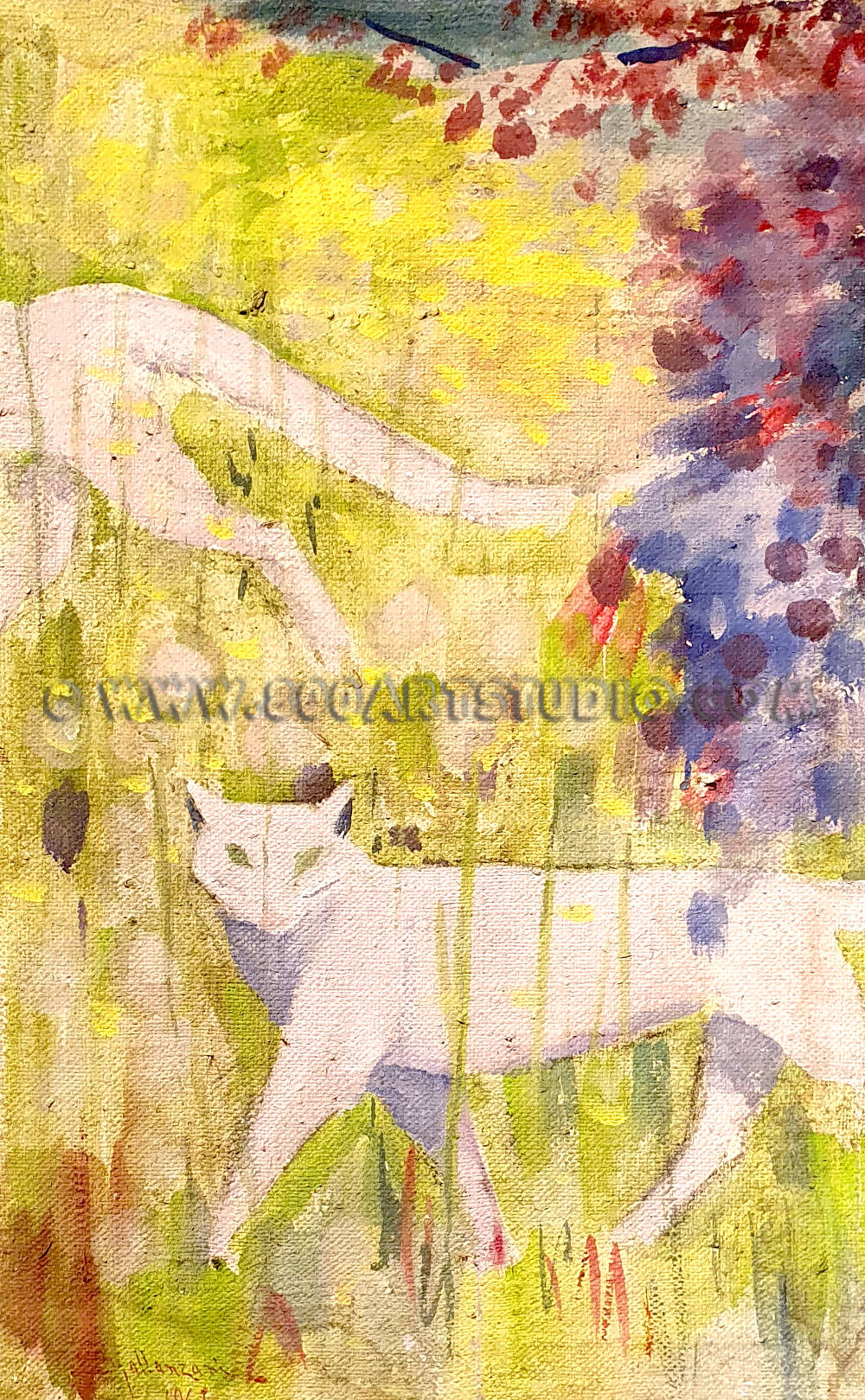 Angiolino Spallanzani - Il gatto bianco